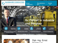 gaisbauer-consulting.at Webseite Vorschau