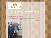 wydenbach.ch Webseite Vorschau