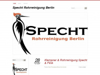 spechtrohrreinigungberlin.wordpress.com Webseite Vorschau