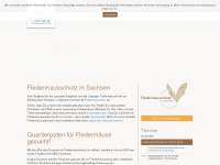 fledermausschutz-sachsen.de Webseite Vorschau