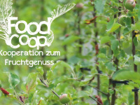 foodcoop-fruchtgenuss.at Webseite Vorschau