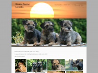 border-terrier-liakada.de Webseite Vorschau