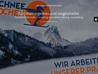 schneepferdchen.com Webseite Vorschau