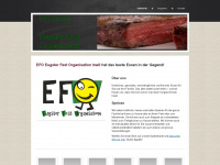 efo-inwil.ch Webseite Vorschau