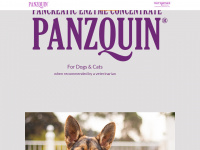 panzquin.com Webseite Vorschau