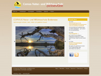corvus-bodensee.de Webseite Vorschau