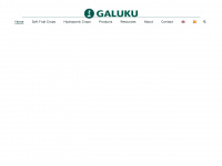 galuku.com Webseite Vorschau