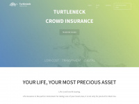 turtleneck.com