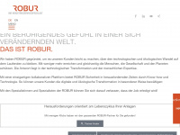 robur-industry-service.com Webseite Vorschau