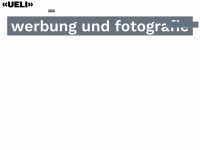 ueligyger.ch Webseite Vorschau