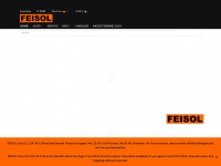 feisol.eu Webseite Vorschau