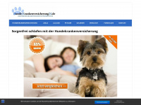 hunde-krankenversicherung24.de Webseite Vorschau