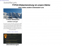 buechler.pro Webseite Vorschau