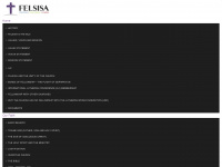felsisa.org.za Webseite Vorschau