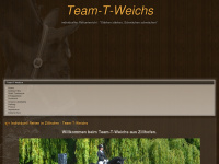 team-t-weichs.de