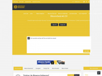 bitcoinsatinal.co Webseite Vorschau