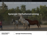 synergie-verhaltenstraining.at Webseite Vorschau
