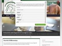 ta-wessling.de Webseite Vorschau