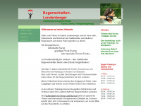 bogenschiessen-landenberger.de Webseite Vorschau