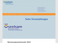 seelsam.ch Webseite Vorschau