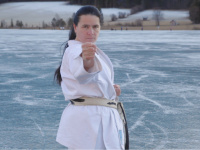karate-graz.at Webseite Vorschau