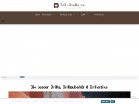 grill-profis.net Webseite Vorschau
