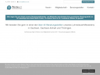 thuesa-lohnsteuerhilfe.de Webseite Vorschau