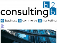 consulting-b2b.eu Webseite Vorschau