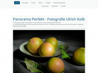 panorama-perfekt.de Webseite Vorschau