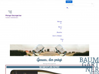 baumgartner-service.com Webseite Vorschau