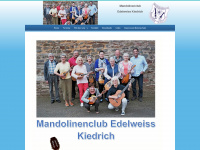 mandolinenclub-kiedrich.de Webseite Vorschau