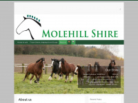 molehill-shire.com Webseite Vorschau