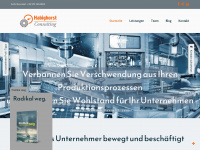 habighorst-consulting.com Webseite Vorschau