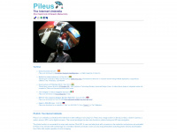 pileus.net Webseite Vorschau