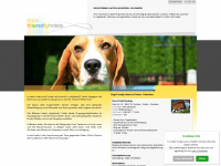 dogsfriendly.it Webseite Vorschau