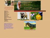 hundeausbildung-boeker.de Webseite Vorschau