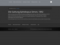 ephebopus.com Webseite Vorschau