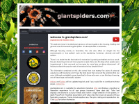 giantspiders.com Webseite Vorschau