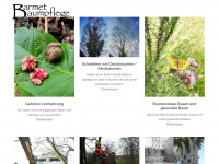 barmetbaumpflege.ch Webseite Vorschau