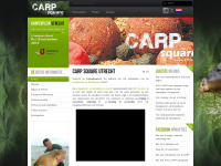 carpsquare.nl Webseite Vorschau