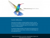bildbearbeitung-obrist.ch Webseite Vorschau