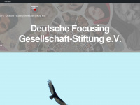 dfg-focusing.de