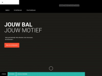 dein-ball.nl Webseite Vorschau