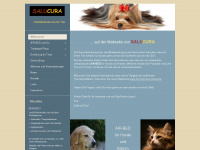 salucura.com Webseite Vorschau