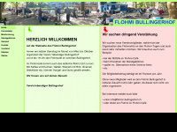 flohmi-bullingerhof.ch Webseite Vorschau