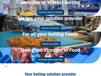 yonglibelting.com Webseite Vorschau