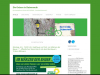 gruene-bubenreuth.de Webseite Vorschau