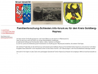 goldberg-haynau.de Webseite Vorschau