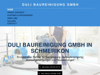 duli-reinigung.ch Webseite Vorschau
