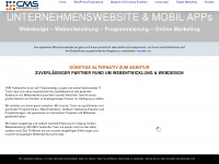 cms-freiberufler.de Webseite Vorschau